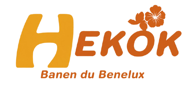 logo Hekok